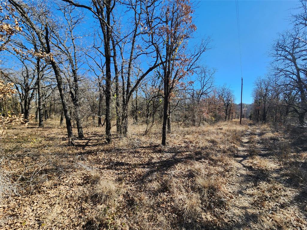 Three Skillet Ranch - Land