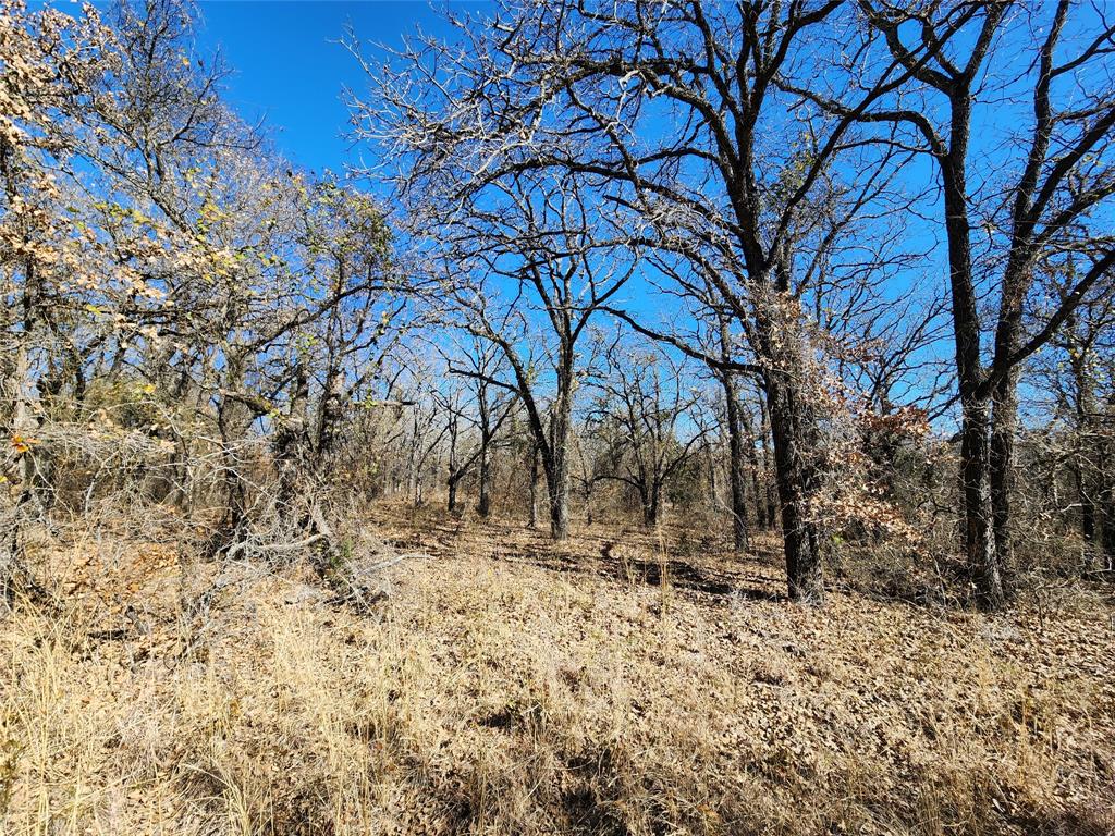 Three Skillet Ranch - Land