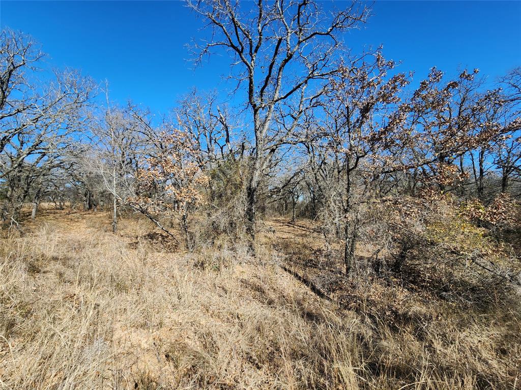 Three Skillet Ranch - Land