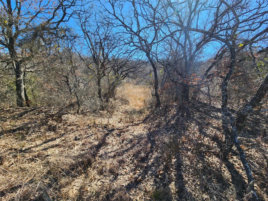 Three Skillet Ranch - Land