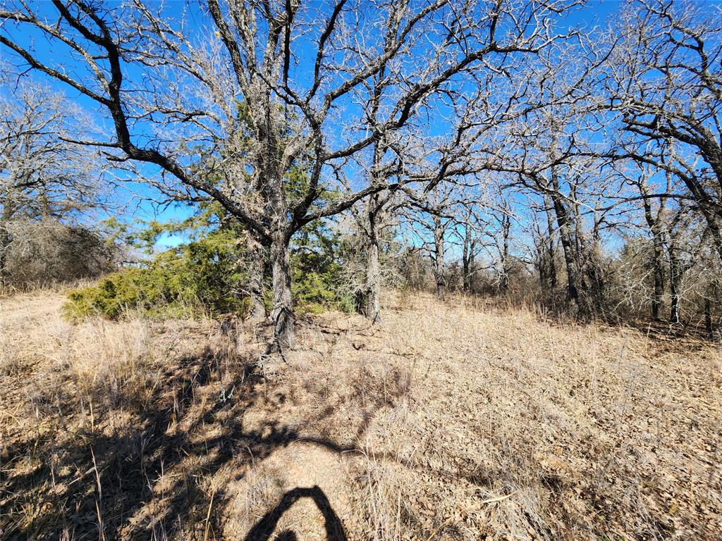 Three Skillet Ranch - Land