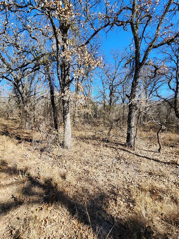 Three Skillet Ranch - Land