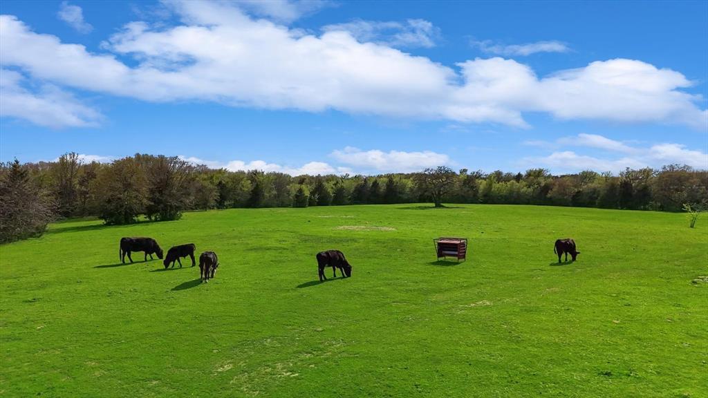 Lemons M - Residential