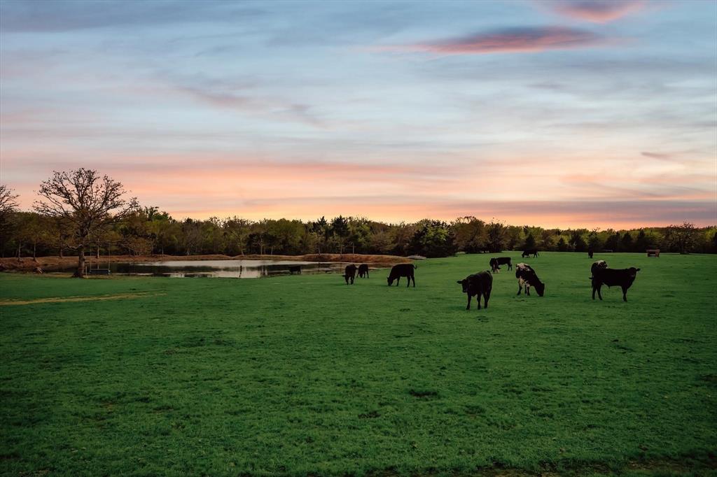 Lemons M - Residential