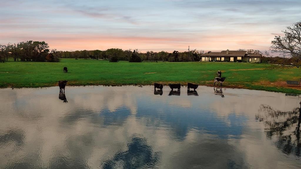 Lemons M - Residential