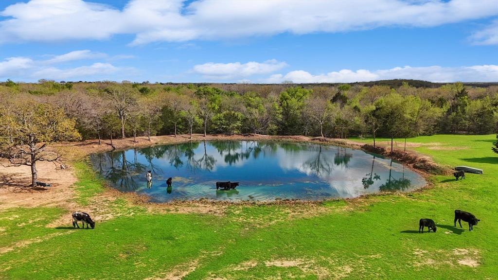 Lemons M - Residential