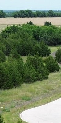 ADDRESS PRIVATE, NEVADA, TX 75173 - Image 357e6f3e69123adacbcc76d1b9debf46/483379417