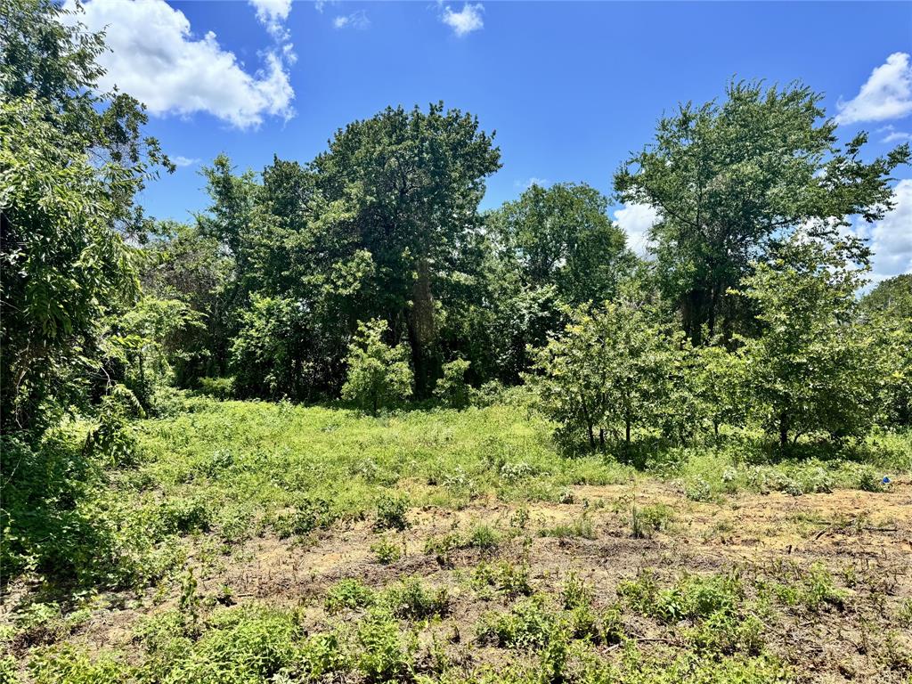 4017 County Road 310