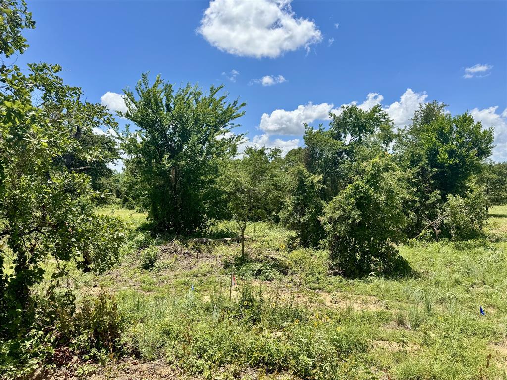 4017 County Road 310