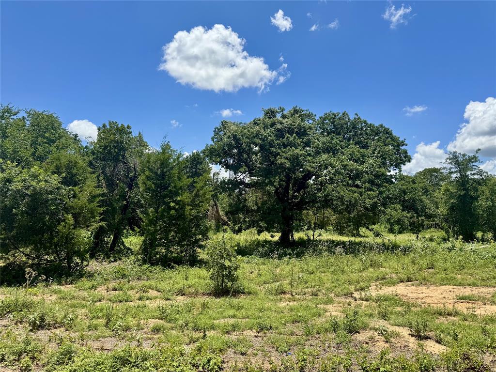 4017 County Road 310