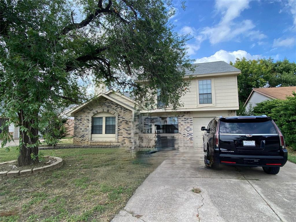 6722 Oriole Court