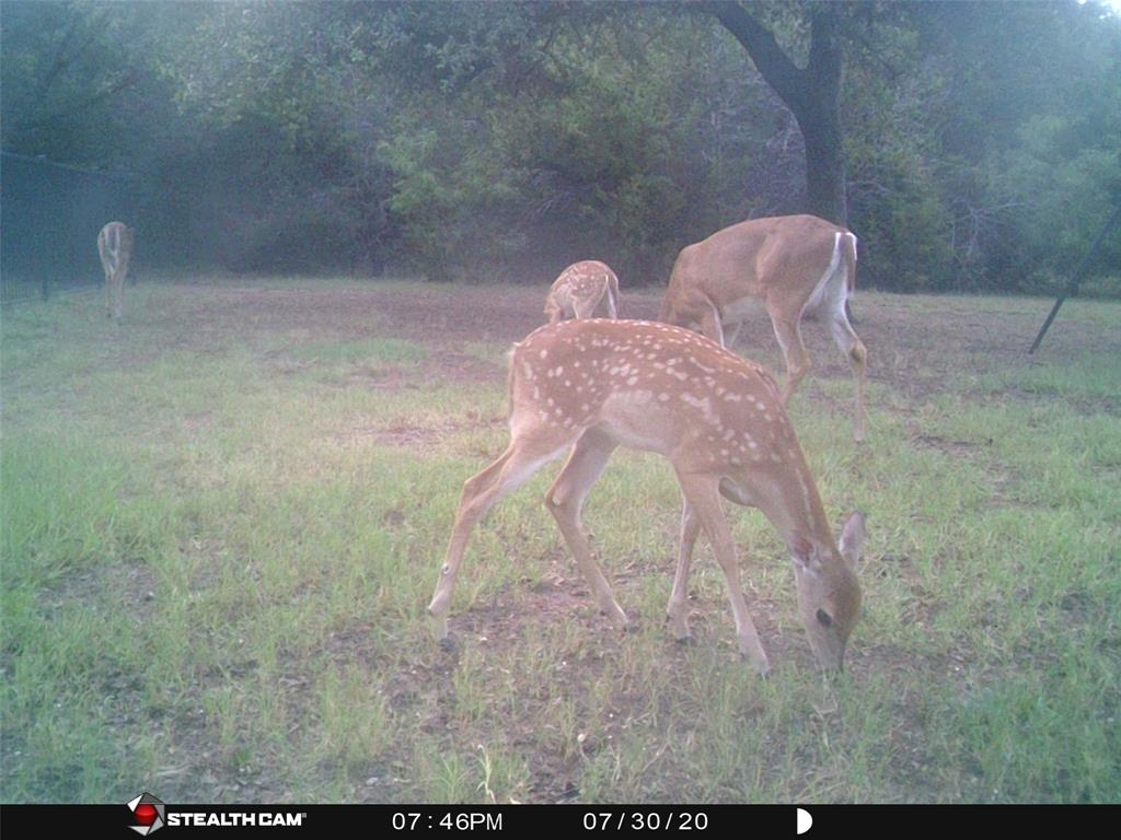 White Bluff #18 - Land