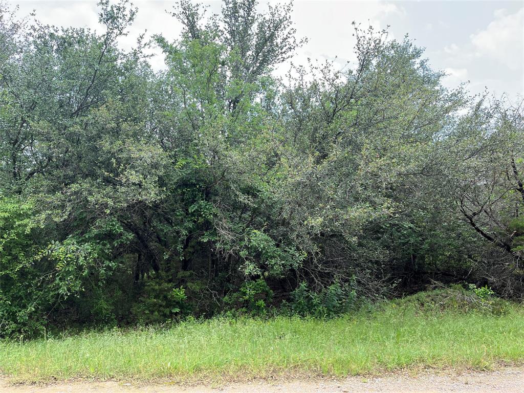 White Bluff #18 - Land