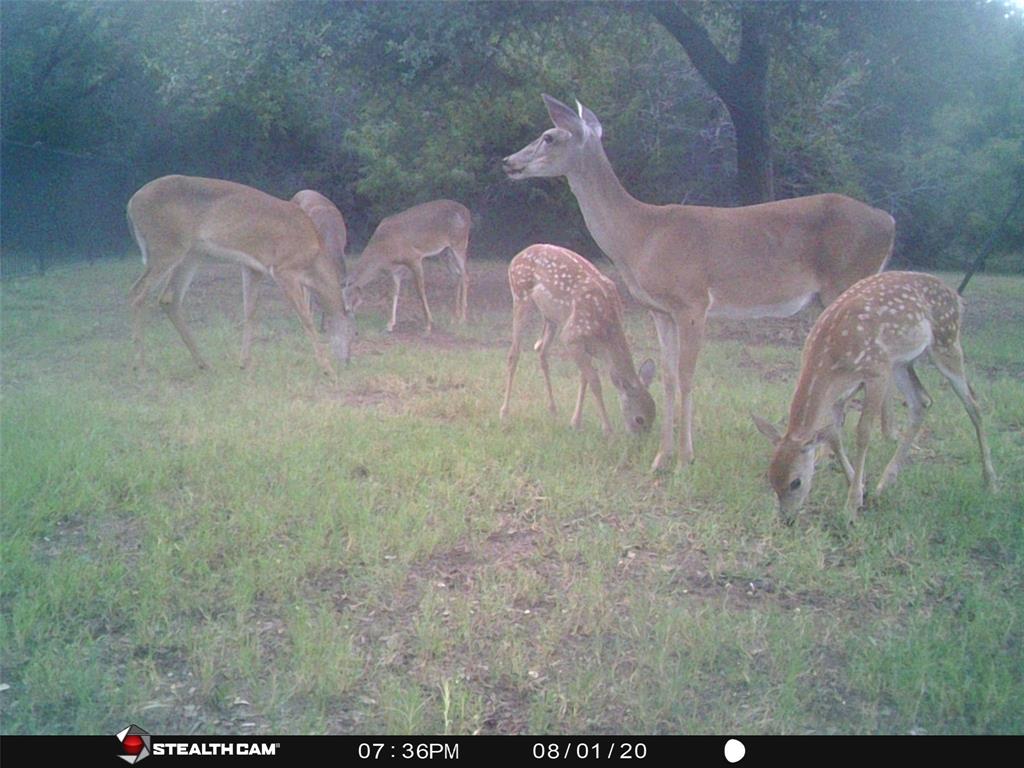 White Bluff #18 - Land