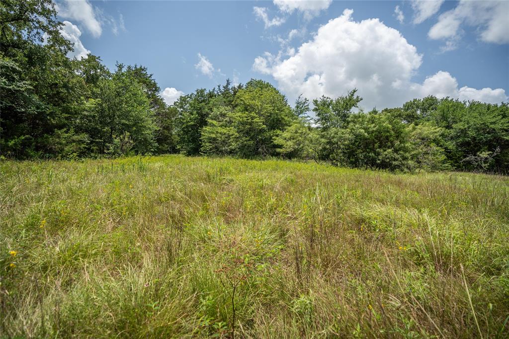 Juan Gonzales 1 League & Labor - Land