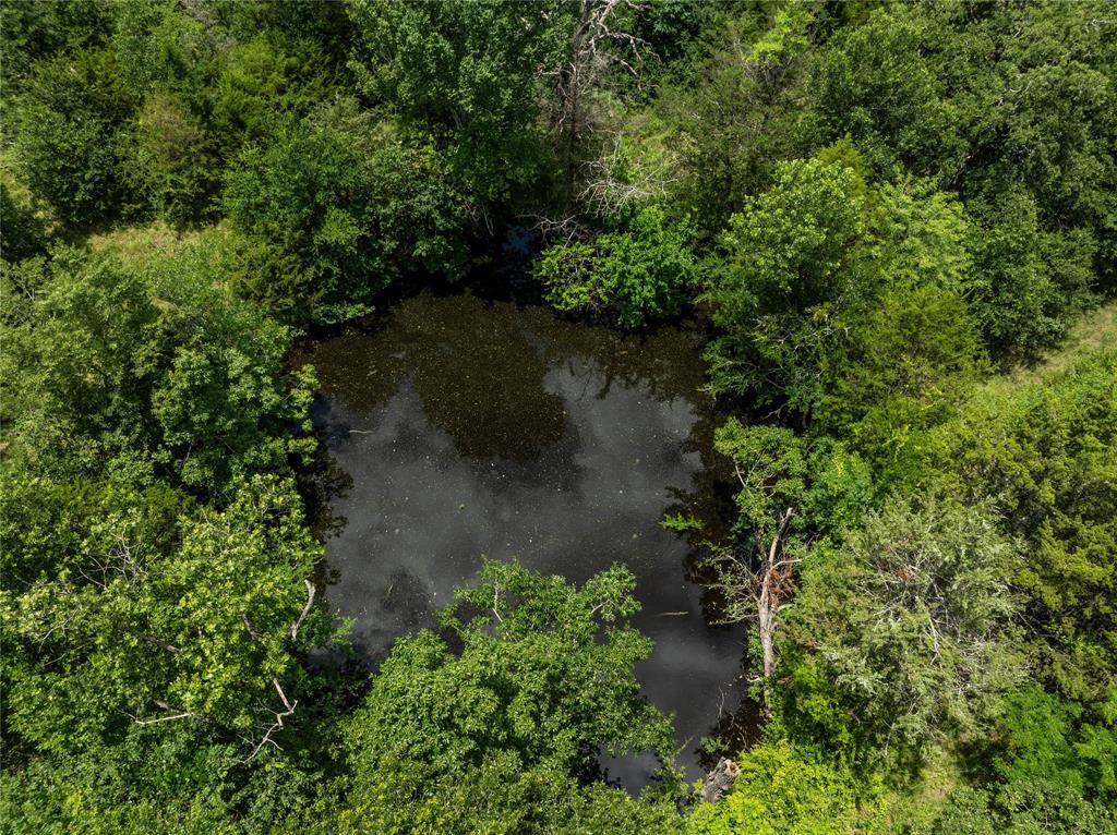 Juan Gonzales 1 League & Labor - Land