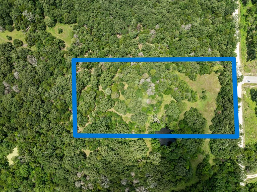 Juan Gonzales 1 League & Labor - Land