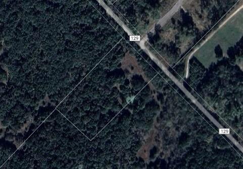 Juan Gonzales 1 League & Labor - Land