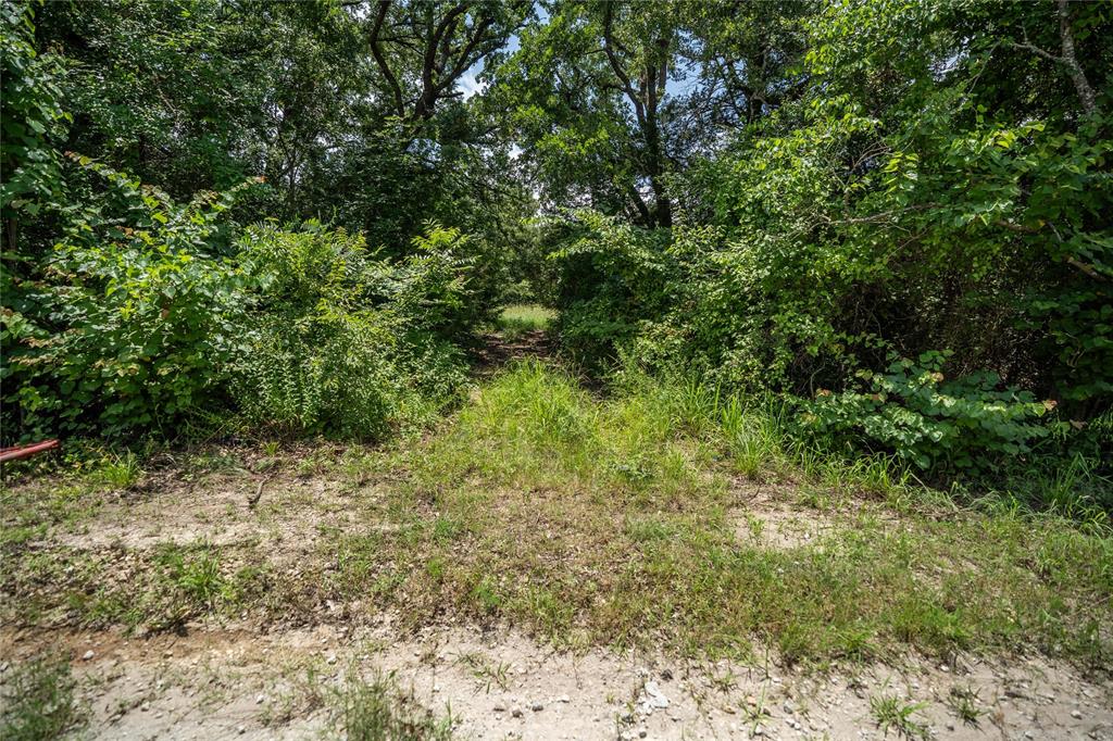 Juan Gonzales 1 League & Labor - Land