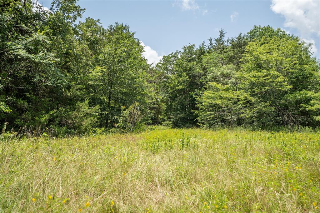 Juan Gonzales 1 League & Labor - Land