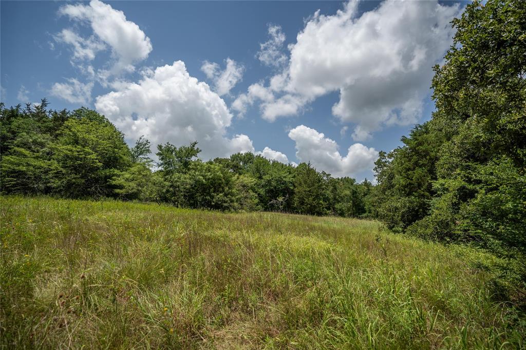 Juan Gonzales 1 League & Labor - Land