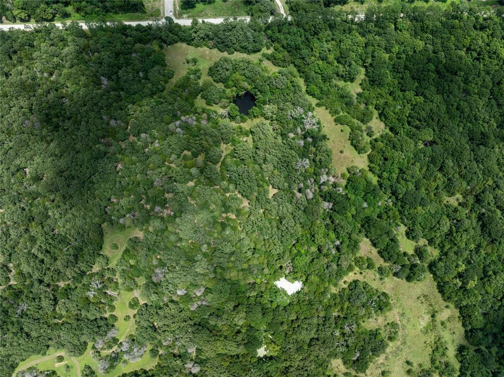 Juan Gonzales 1 League & Labor - Land