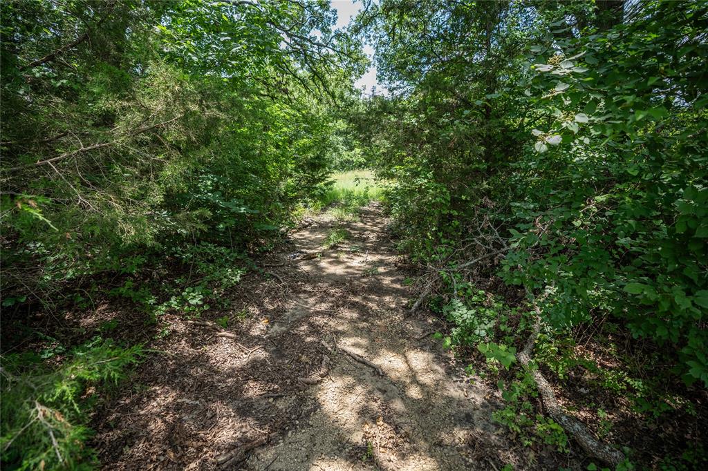 Juan Gonzales 1 League & Labor - Land