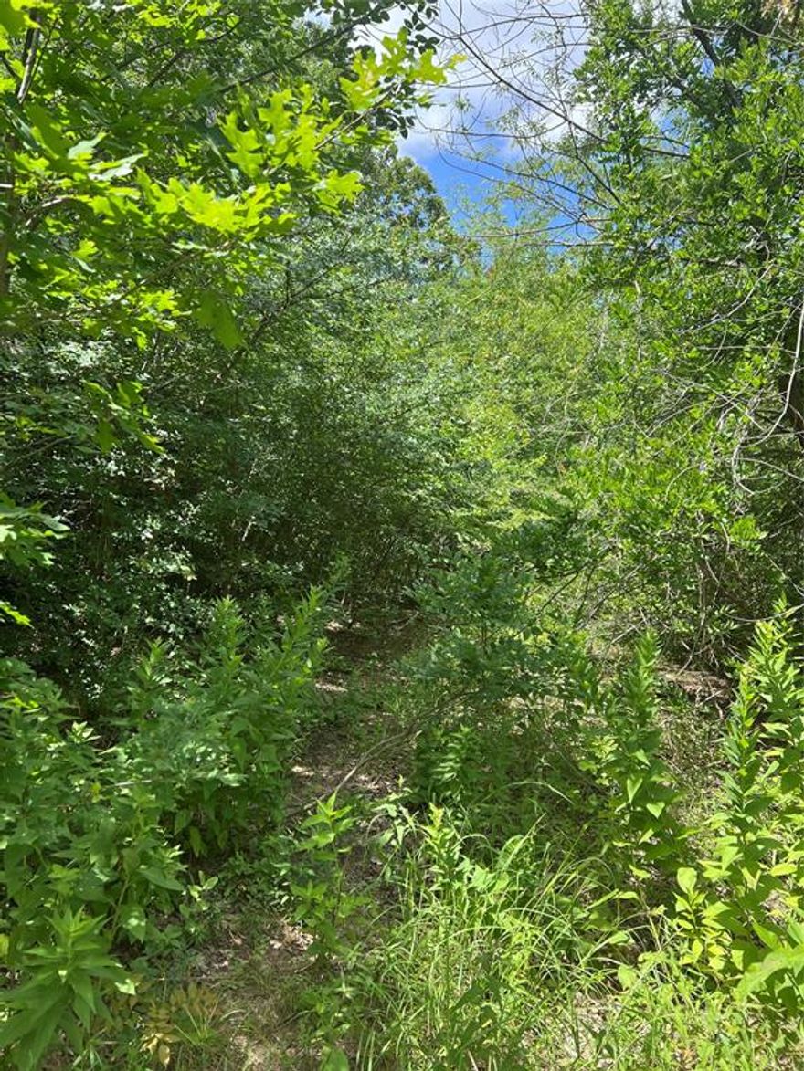 Nice Location Close to Lake, Secluded, Come use your Imagination. Old abandoned house on property, 112 Ft. Road frontage