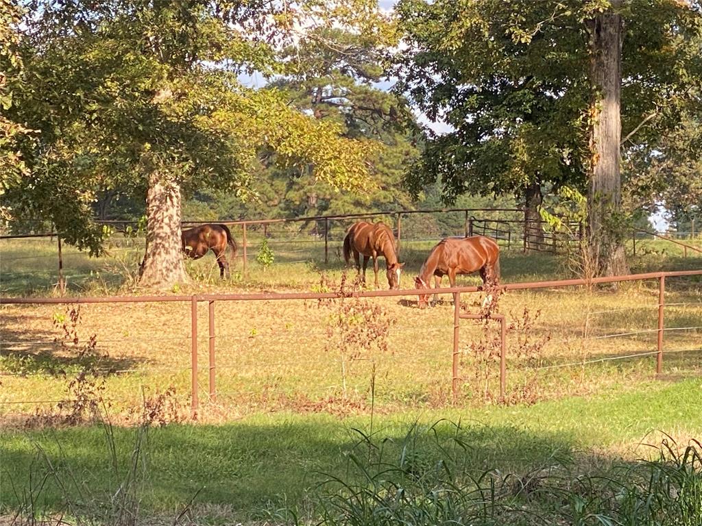 Dogwood Estates - Residential