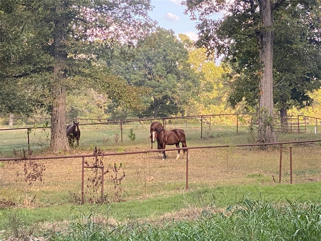 Dogwood Estates - Residential
