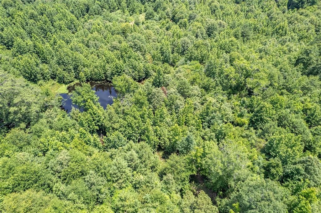 ABST A1037 A WRIGHT - Land