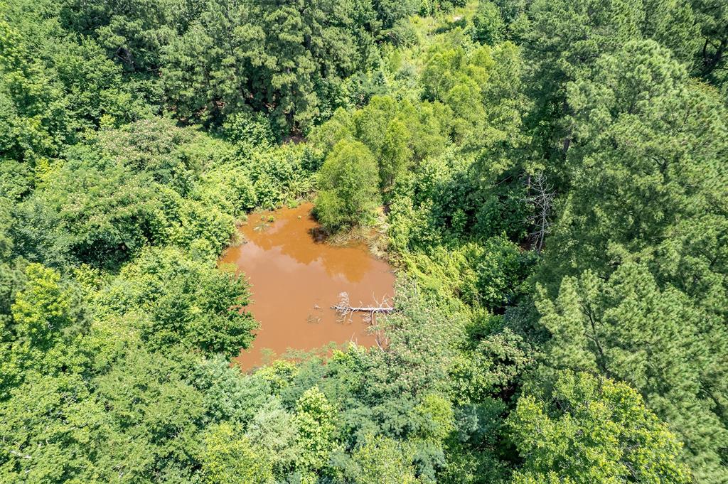 ABST A1037 A WRIGHT - Land