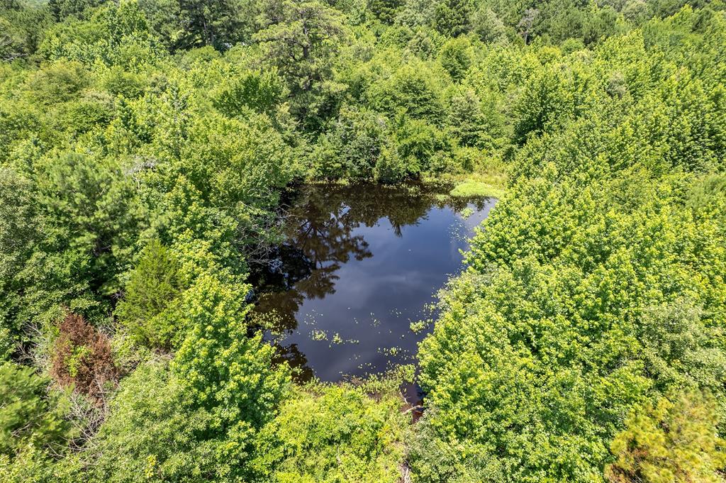 ABST A1037 A WRIGHT - Land