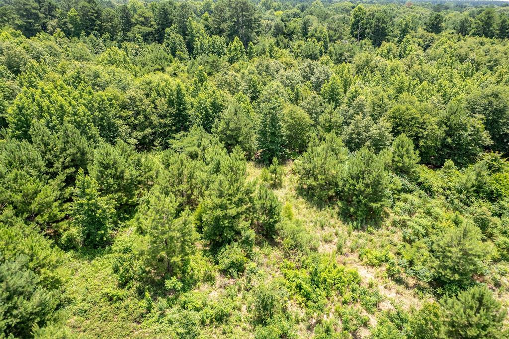 ABST A1037 A WRIGHT - Land