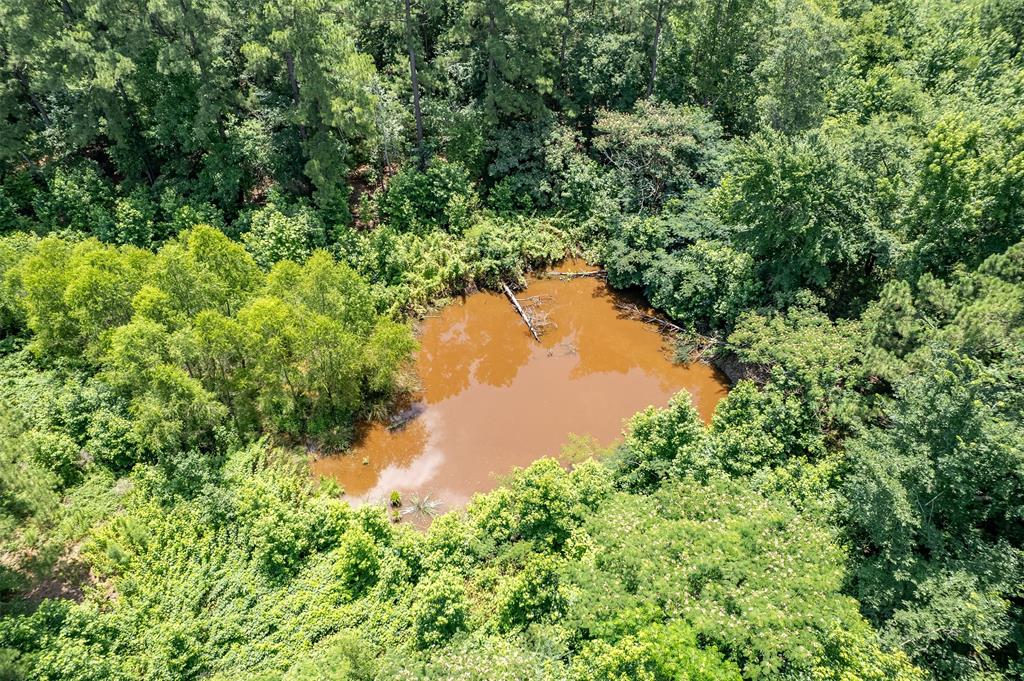 ABST A1037 A WRIGHT - Land