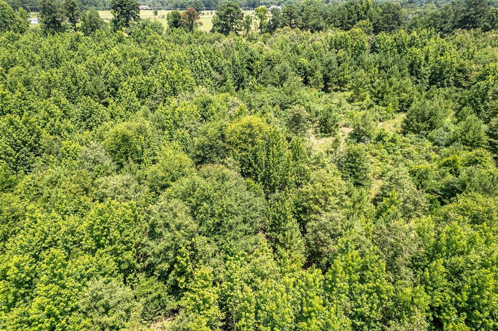 ABST A1037 A WRIGHT - Land