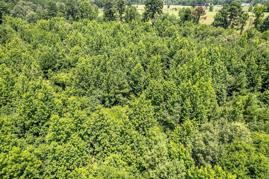 ABST A1037 A WRIGHT - Land