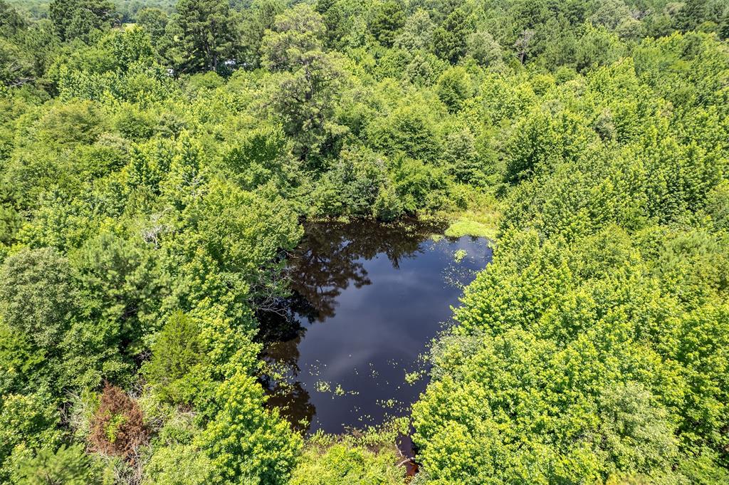 ABST A1037 A WRIGHT - Land