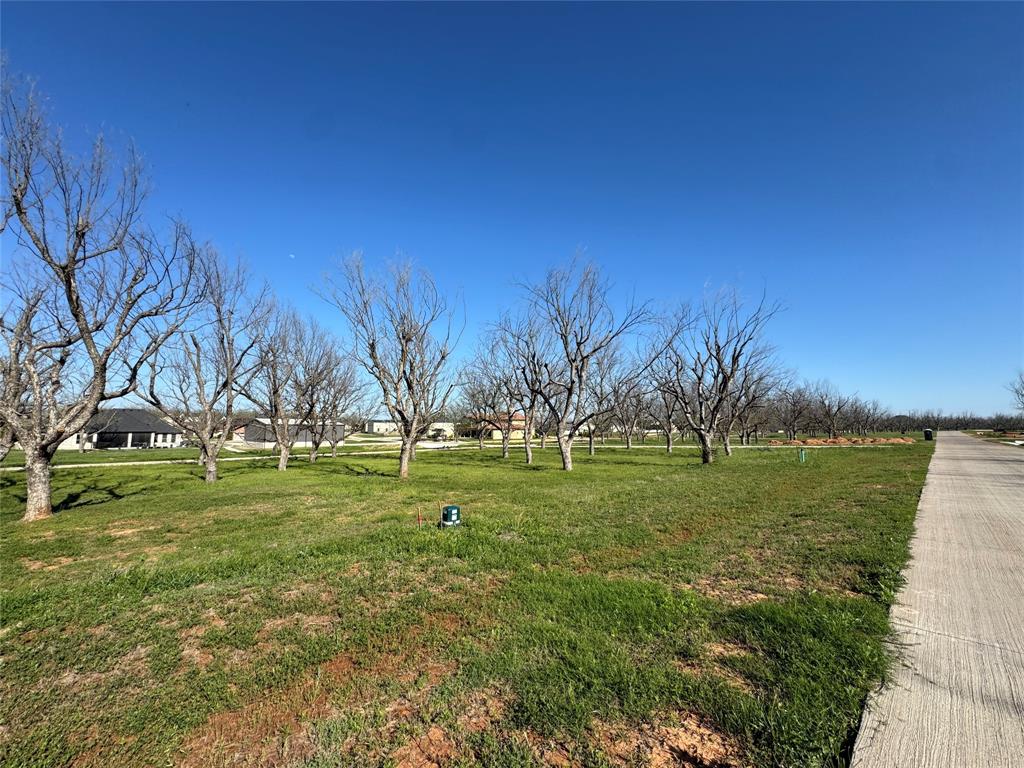 Pecan Plantation in The Landings - Land