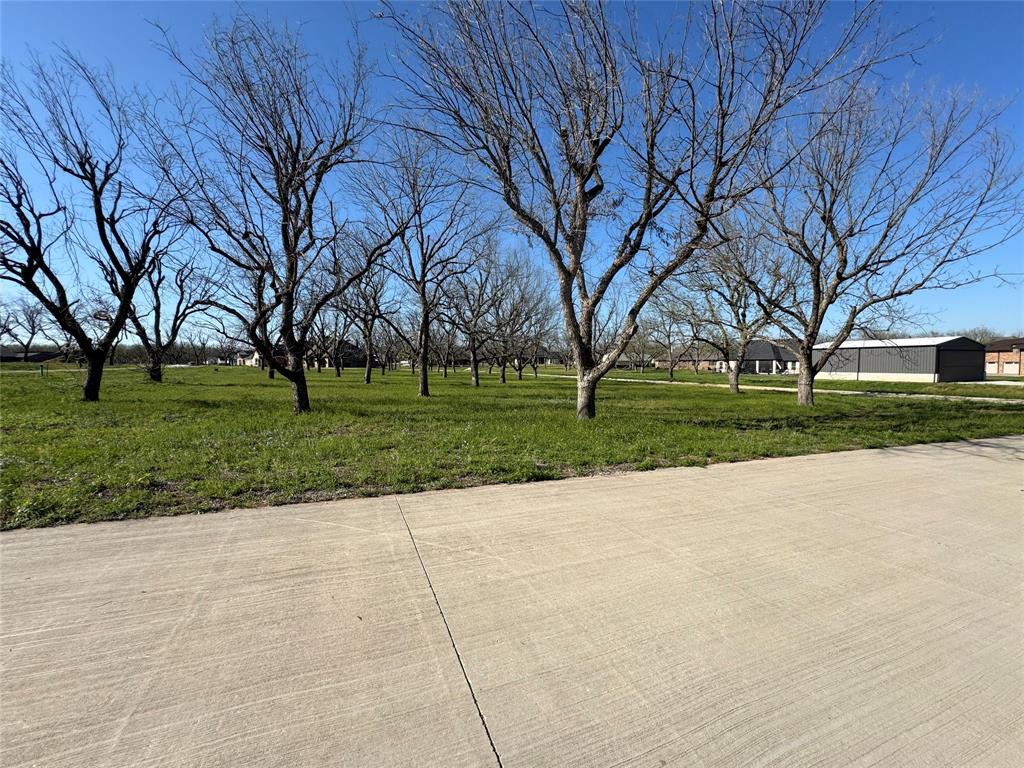 Pecan Plantation in The Landings - Land