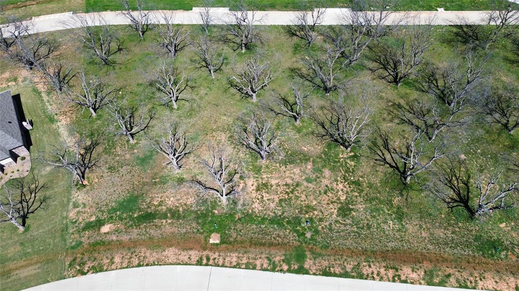 Pecan Plantation in The Landings - Land