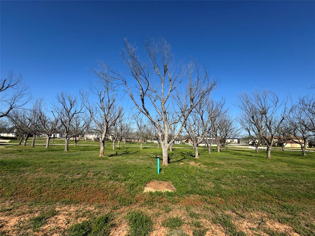Pecan Plantation in The Landings - Land