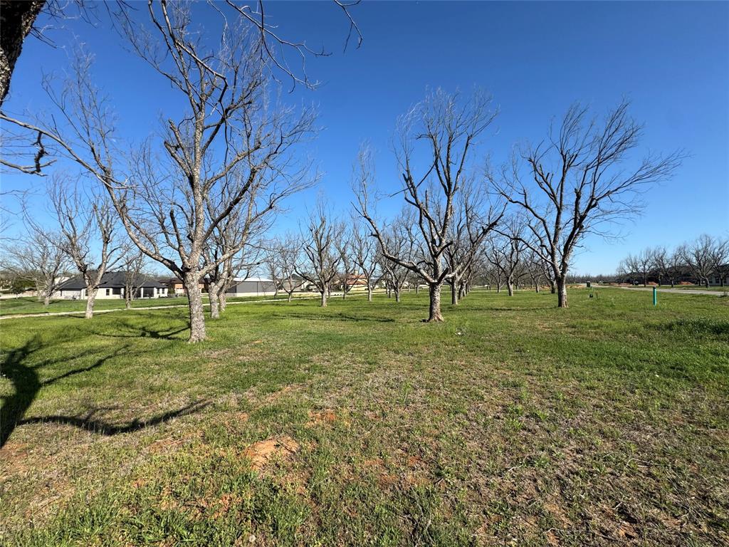 Pecan Plantation in The Landings - Land