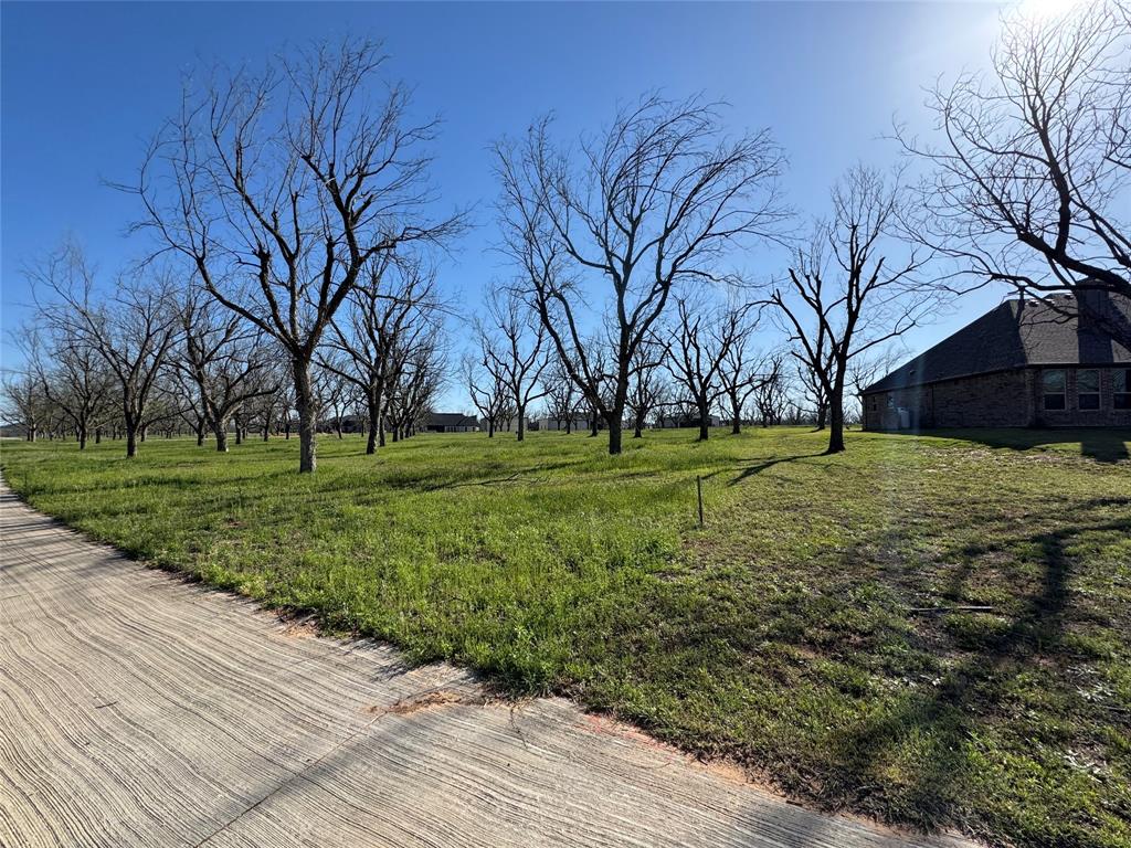 Pecan Plantation in The Landings - Land