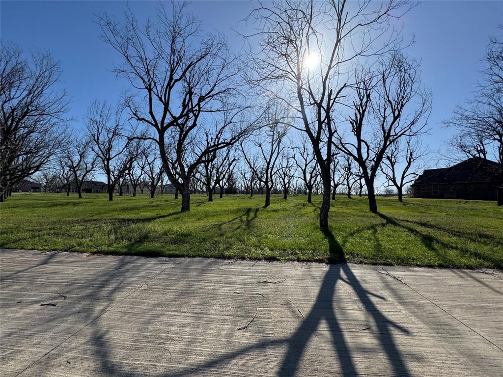 Pecan Plantation in The Landings - Land