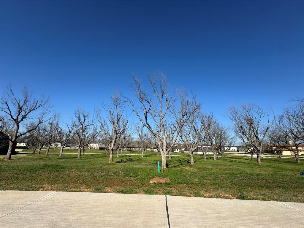 Pecan Plantation in The Landings - Land