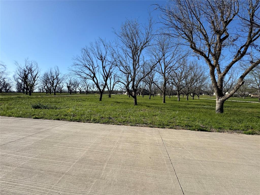 Pecan Plantation in The Landings - Land