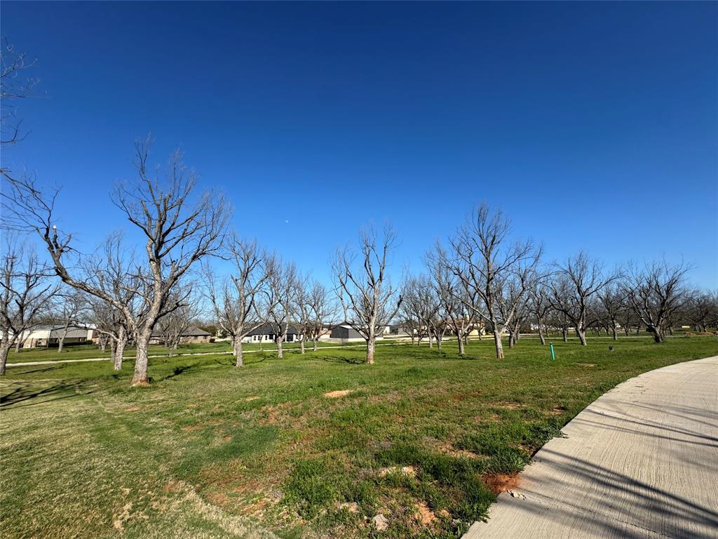 Pecan Plantation in The Landings - Land