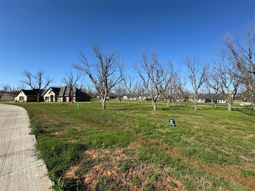 Pecan Plantation in The Landings - Land