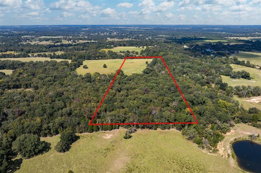 20 Acres Just Off State Hwy 19! This 20-acre property offers excellent potential with county road frontage located just off State Hwy 19. The land offers a mix of open pasture and scattered trees. Property is fenced across the front. Whether you are looking to develop or build your forever home, this property provides endless potential and the perfect setting to enjoy country living.